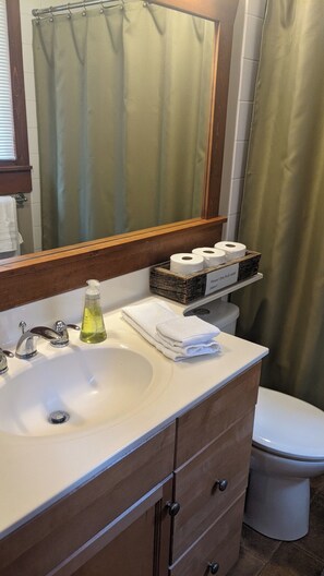 Secador de pelo, toallas, jabón y champú