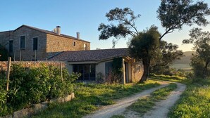 Uma casa de pedra rústica com um caminho de terra que a leva, rodeada por vegetação e árvores.