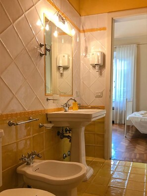 Shower, hair dryer, bidet, towels