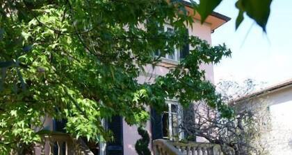 Villa Agnese Bed and Breakfast