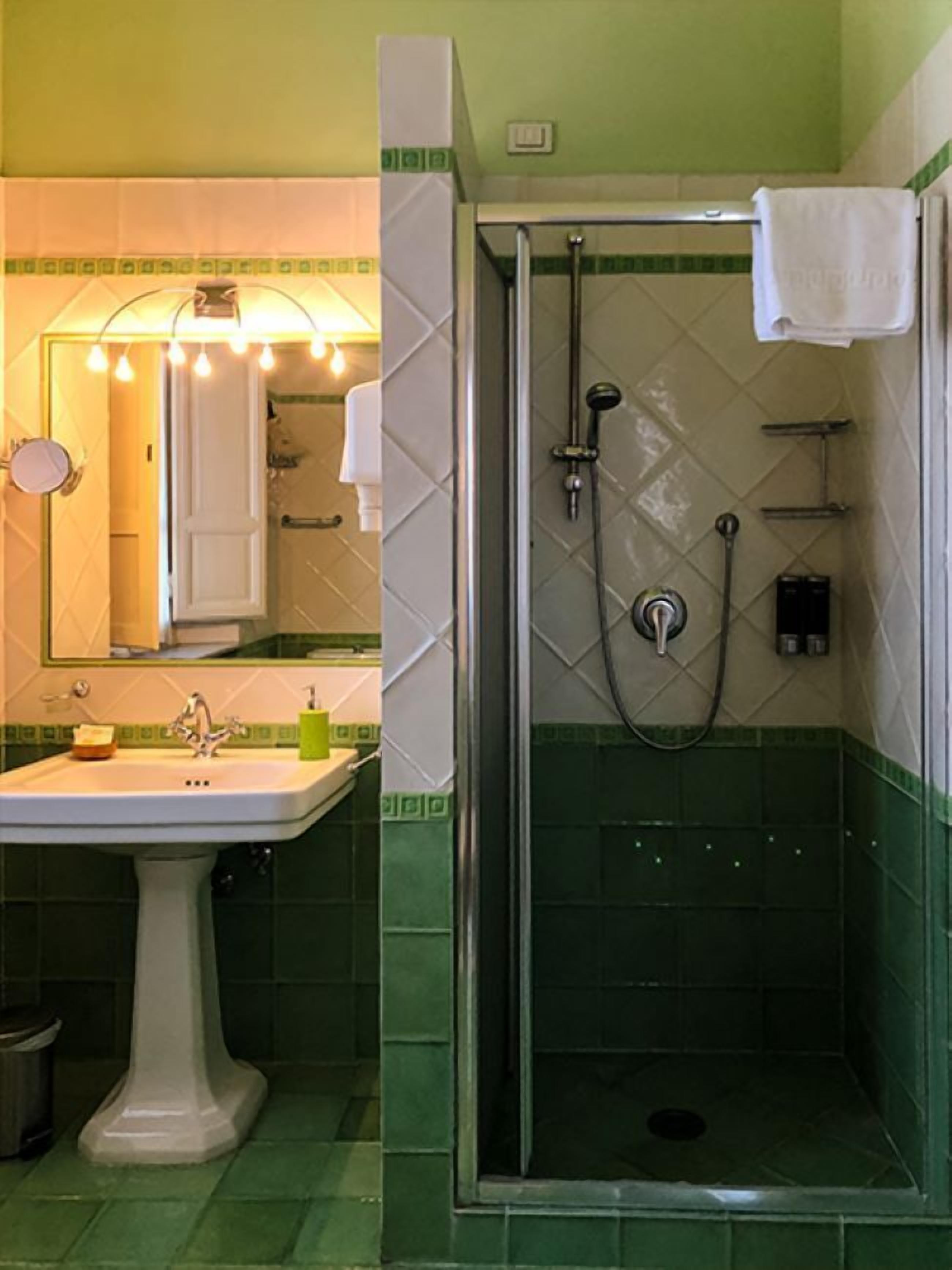 Shower, hair dryer, bidet, towels