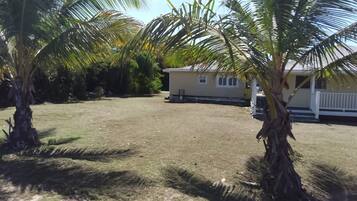 A grassy yard with palm trees and a small house.