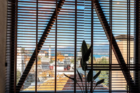 Vista desde la propiedad