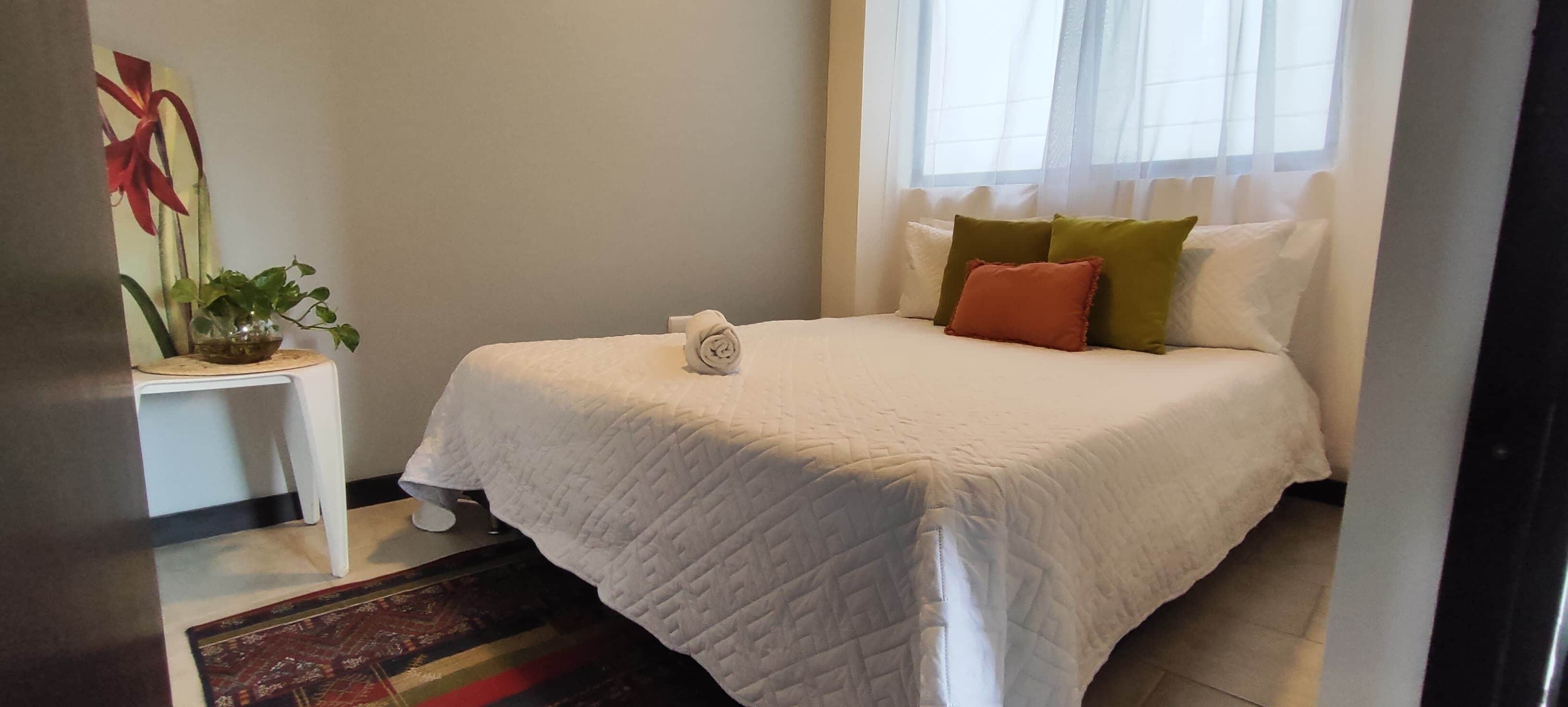 Leilighet – deluxe | Allergitestet sengetøy, dundyner, strykejern/-brett og wi-fi (inkludert)