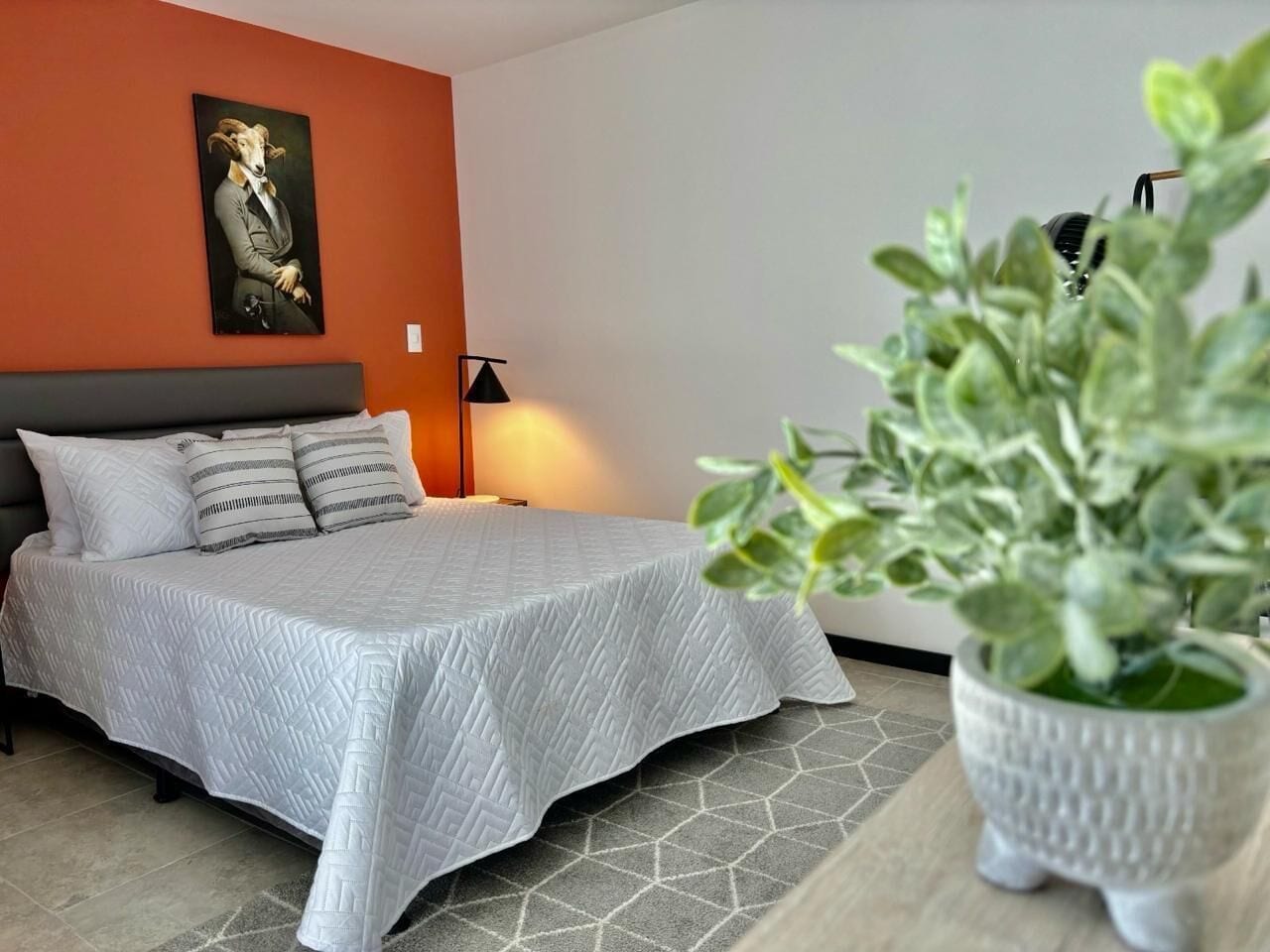 Studio – classic | Allergitestet sengetøy, dundyner, strykejern/-brett og wi-fi (inkludert)