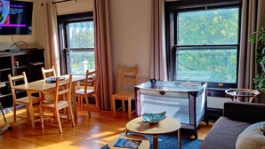 A living room with a TV, wooden furniture, a small table with a bowl, and large windows. - Historic 3-Bedroom Guest Suite · Prime Forest Park Location in Central West End (St. Louis)