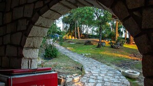 Immagine non classificata, 5 di 76, pulsante