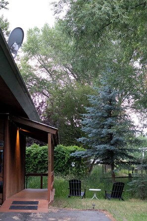 A covered outdoor area with a satellite dish, a wooden deck, and a large tree.