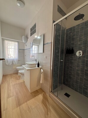 Shower, hair dryer, bidet, towels