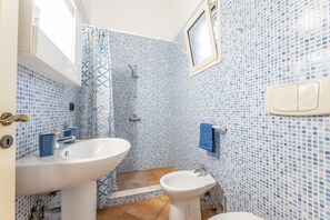 Shower, hair dryer, bidet, towels