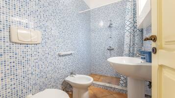 Shower, hair dryer, bidet, towels