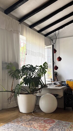 A room with a large potted plant, a round white object, and a patterned rug.
