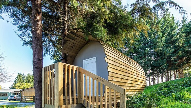 A treehouse with a wooden staircase and a door, surrounded by greenery. - Morning Calm Lodge Limited (Hamilton)