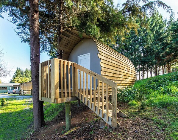 Exterior - Morning Calm Lodge Limited (Hamilton)