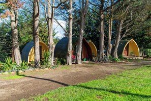 Exterior - Morning Calm Lodge Limited (Hamilton)