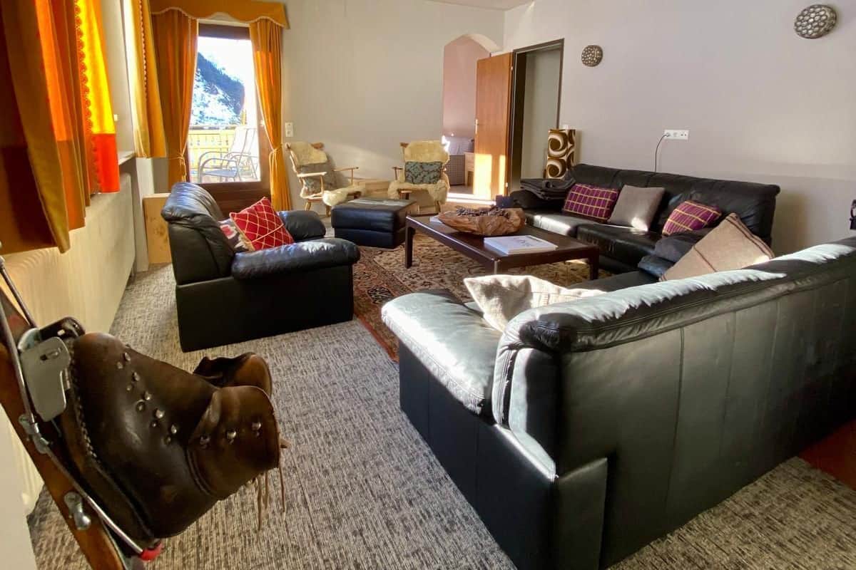 Un salon avec un canapé, des fauteuils, une table basse et un chien. On peut voir une montagne par la fenêtre.