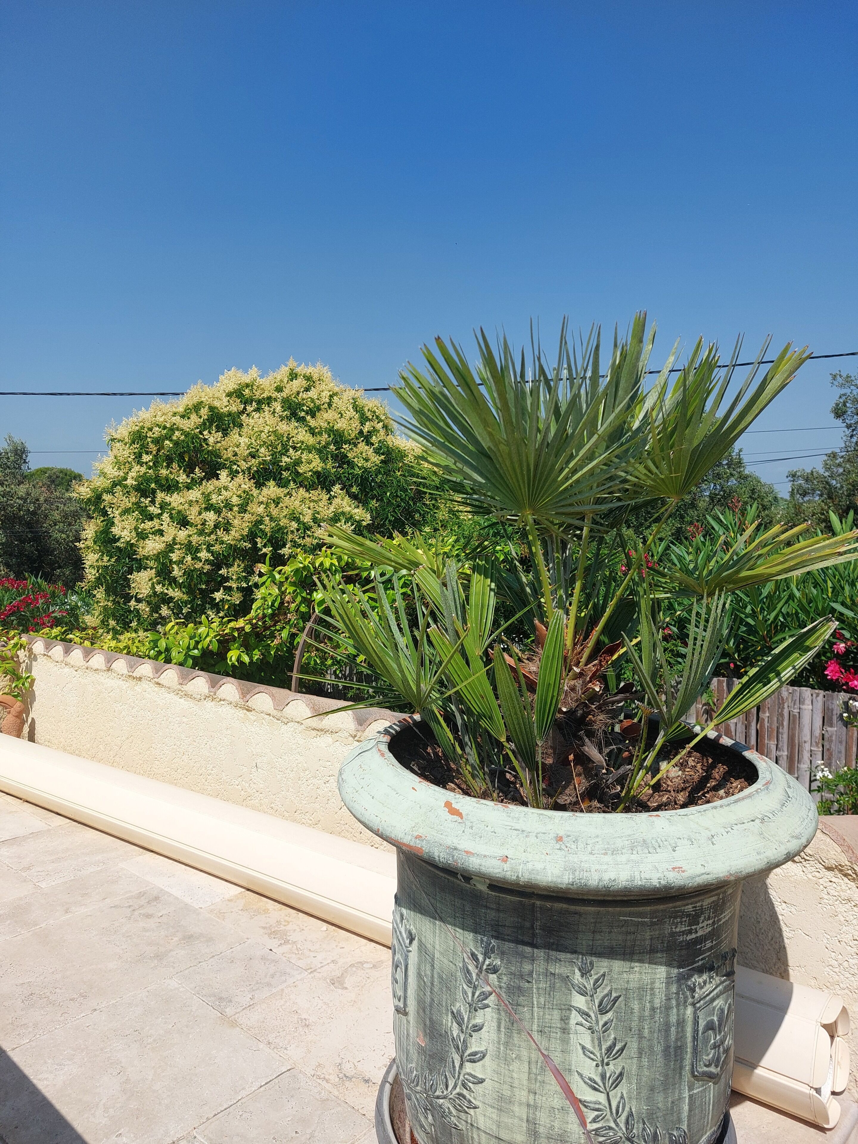 Parco della struttura