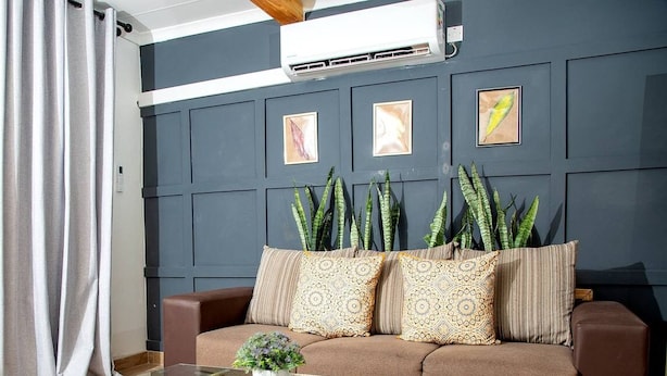 Un salon avec un canapé marron, des coussins à motifs, une table basse en verre ornée d’une plante, et un mur décoré d’œuvres d’art encadrées.