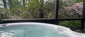 Spectacular Mountain Views with private hot tub!