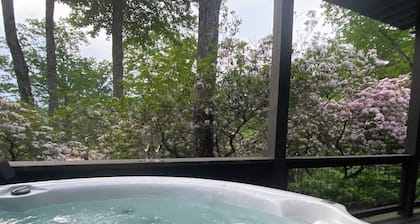 Spectacular mountain views with private hot tub!