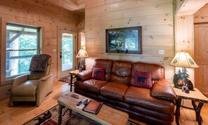 Télévision, cheminée, lecteur de DVD, livres