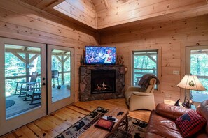 Télévision, cheminée, lecteur de DVD, livres