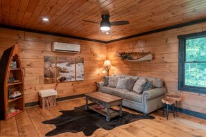 Televisión, chimenea, reproductor de DVD, libros