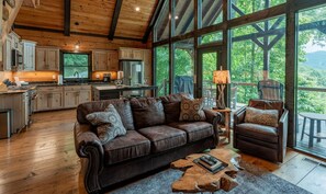 TV, fireplace, DVD player, books