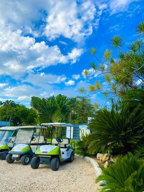 Explore the lush surroundings of our resort, where golf carts await to transport you to the course.