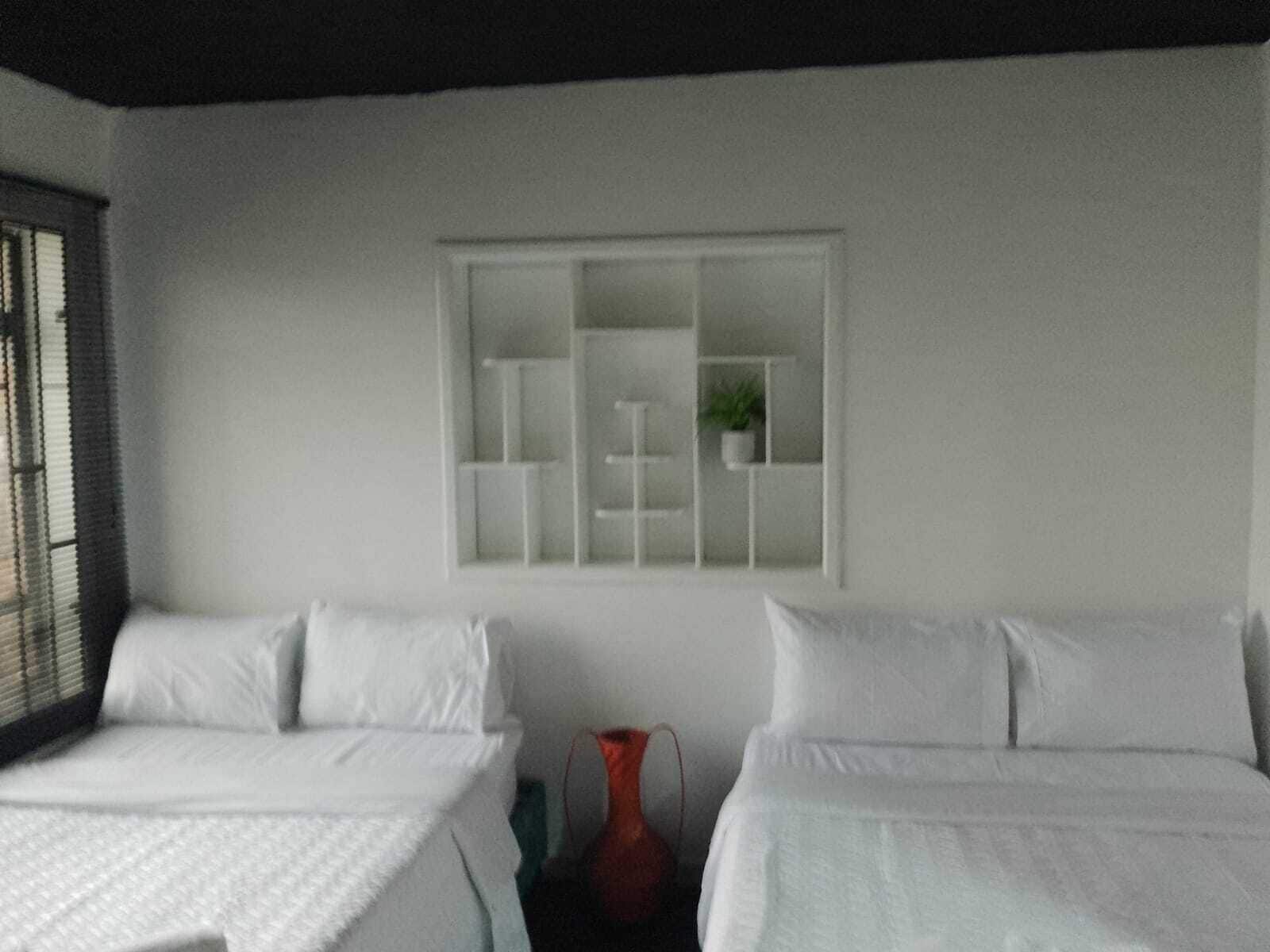 Una habitación de hotel con dos camas, una ventana con persianas y un estante blanco con una planta.