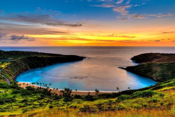 Beach - Romantic View walk to beach*shopping* Friday fun (Honolulu)