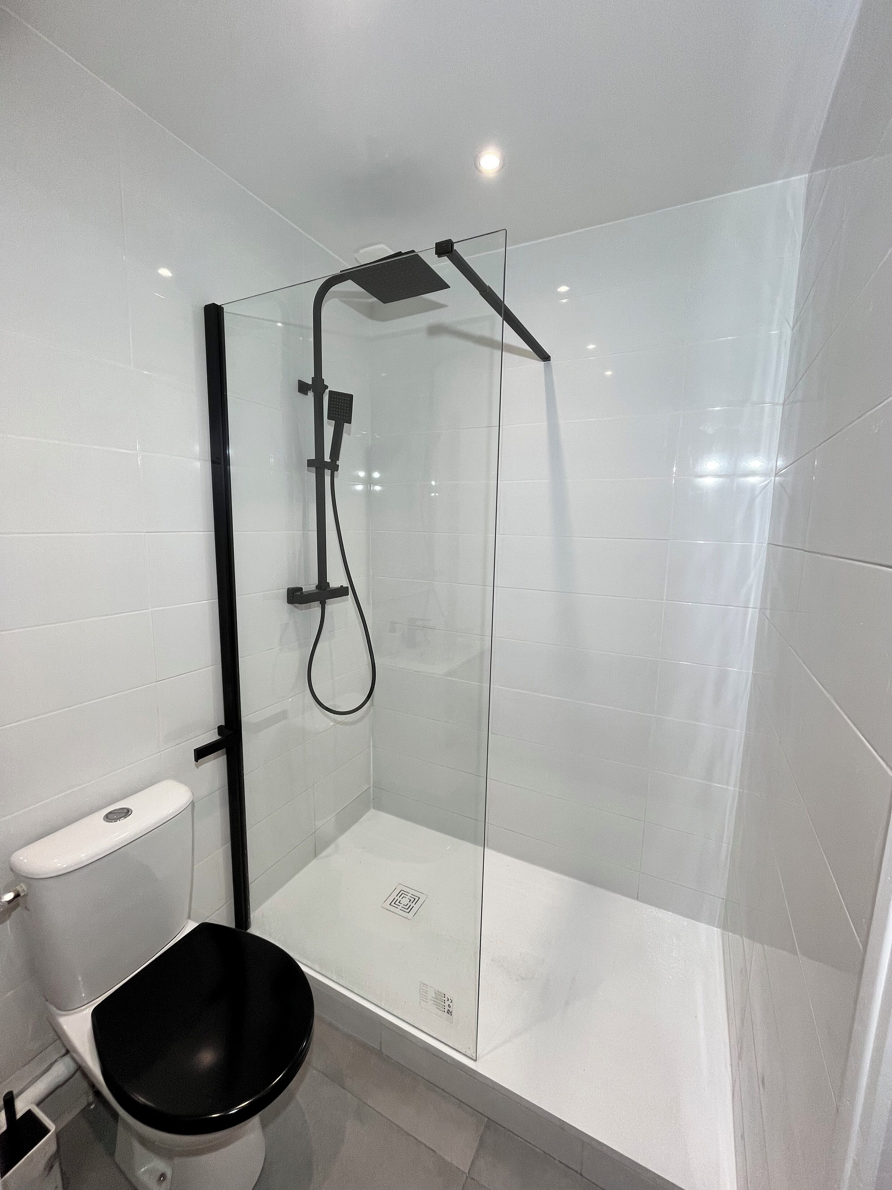 Shower, towels, soap, toilet paper