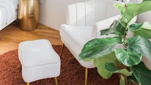 A modern living room with a white sofa, a small white stool, a large plant, and a gold vase on a wooden floor. - Rhythm&Views- Hillside home in Mount Adams with Hot Tub and River Views (Cincinnati)