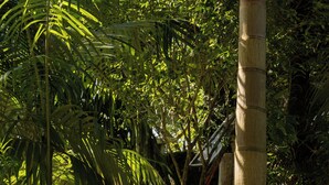 A tropical garden with a hammock, wicker chairs, and a tiled pool area. - O Portalzinho (Paraty)