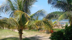 Un giardino tropicale con palme e vista libera sull'oceano.