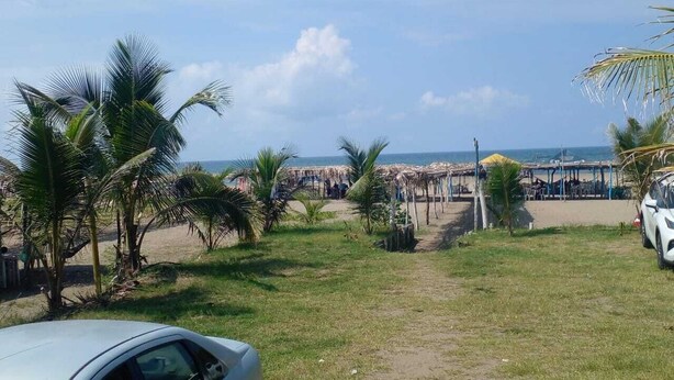 Una zona sulla spiaggia con palme, un percorso, ombrelloni da spiaggia e un'auto bianca.