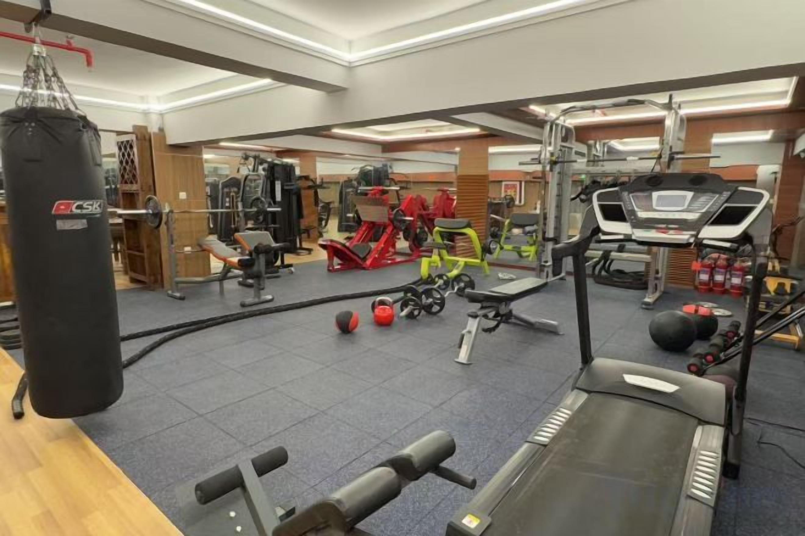 A gym with cardio equipment, weight machines, and a punching bag.