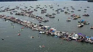 A large body of water with numerous boats docked in a linear formation. - Cozy Lake Cabin #3 w/boatdock (Palmyra Township)