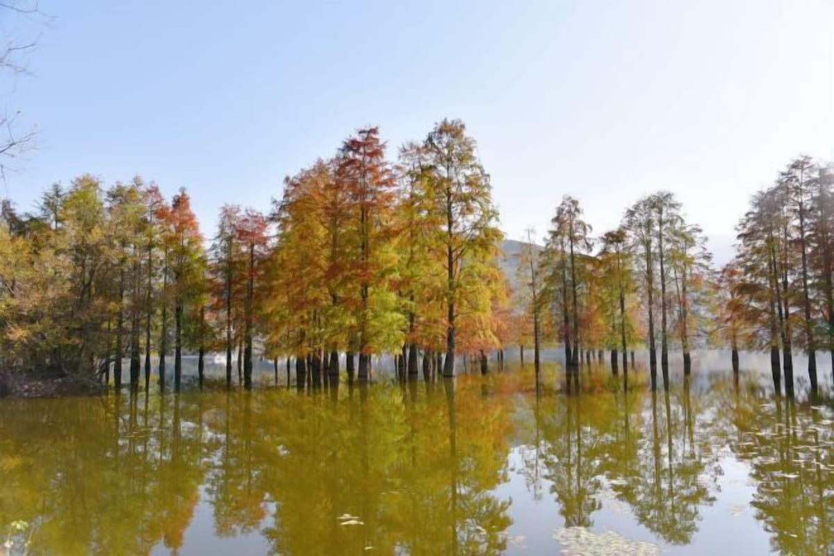 Rustig water waarin bomen met herfstkleuren spiegelen.