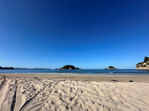 Hosts on the Coast Black Bach