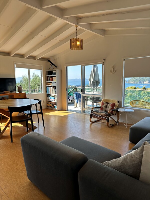 Televisión y chimenea 