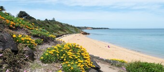 Aura Family Home by the Bay