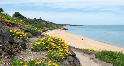 Aura Family Home by the Bay