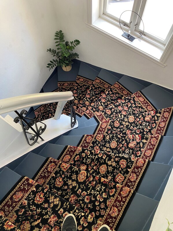 Stunning staircase with a vibrant floral carpet and a potted plant nearby.