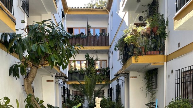 Une cour intérieure avec une fontaine centrale, entourée de plantes en pot et d’un arbre.