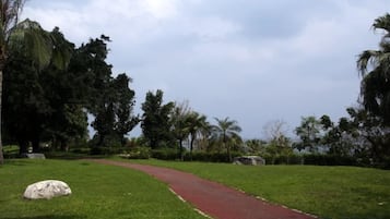 Un camí pavimentat en un ambient de parc, ple de vegetació i arbres.