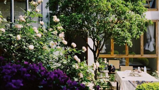 Um jardim com mesa e cadeiras, uma árvore e flores roxas.