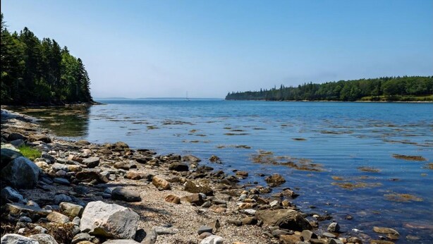 A rocky shoreline with clear water and a distant sailboat. - Charming 3-bedroom waterfront cottage in Tremont with spectacular sunsets. (Tremont)