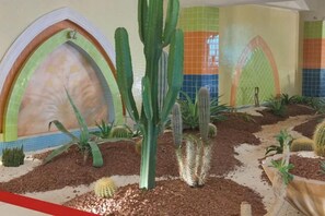 Ein Kaktusgarten mit verschiedenen Kakteen und Sukkulenten, eine mit farbigem Muster versehene Wand und ein Weg.