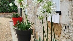 Macetas con flores blancas frente a un edificio de piedra con una ventana.